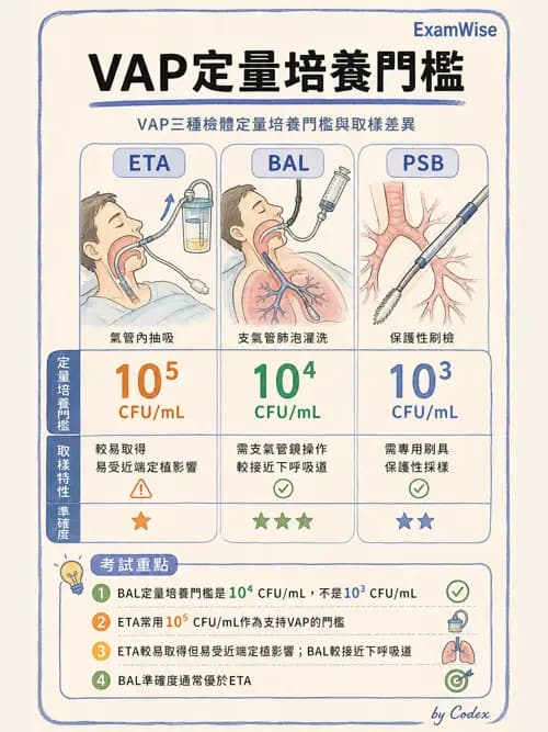 呼吸治療師 - 呼吸器併發症與感染 - AI 圖文解析預覽