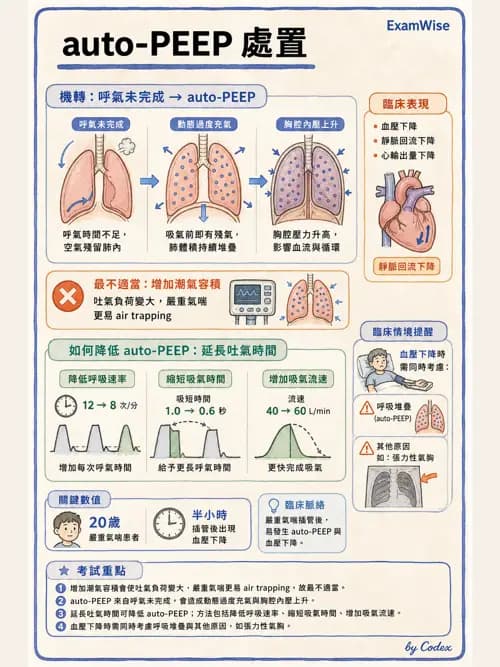 呼吸治療師 - 心臟疾病與COPD重症 - AI 圖文解析預覽