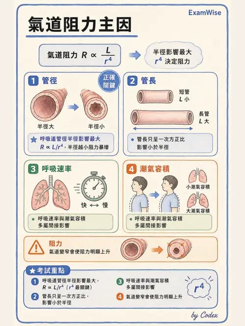 呼吸治療師 - 重症監測與判讀 - AI 圖文解析預覽