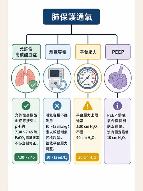 呼吸治療師 - ARDS與呼吸衰竭 - AI 圖文解析預覽