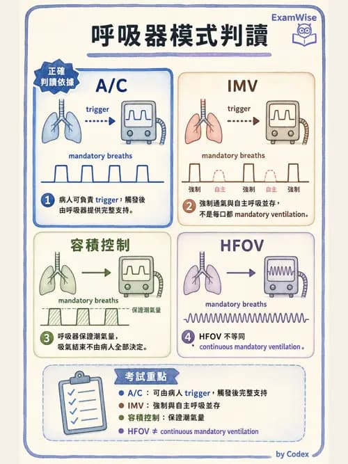 呼吸治療師 - 重症監測與判讀 - AI 圖文解析預覽