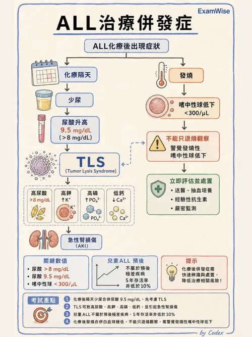 呼吸治療師 - 小兒相關重症 - AI 圖文解析預覽