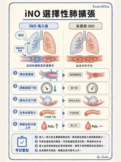 呼吸治療師 - 重症特殊處置 - AI 圖文解析預覽