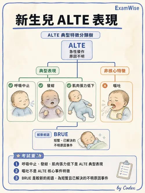 呼吸治療師 - 小兒相關重症 - AI 圖文解析預覽