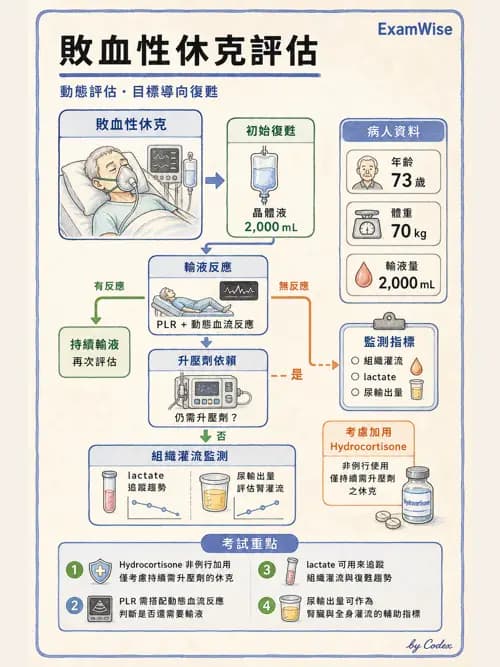 呼吸治療師 - 休克、敗血症與多器官衰竭 - AI 圖文解析預覽