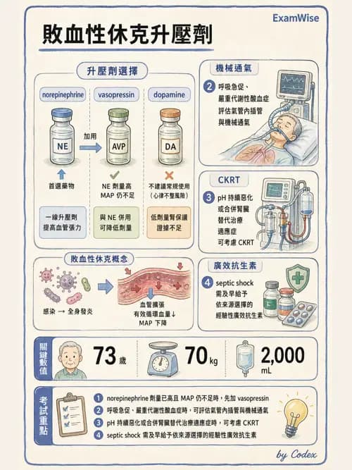 呼吸治療師 - 休克、敗血症與多器官衰竭 - AI 圖文解析預覽