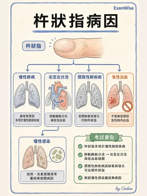 呼吸治療師 - 病人評估與衛教 - AI 圖文解析預覽