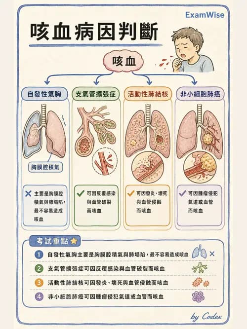 呼吸治療師 - 病人評估與衛教 - AI 圖文解析預覽