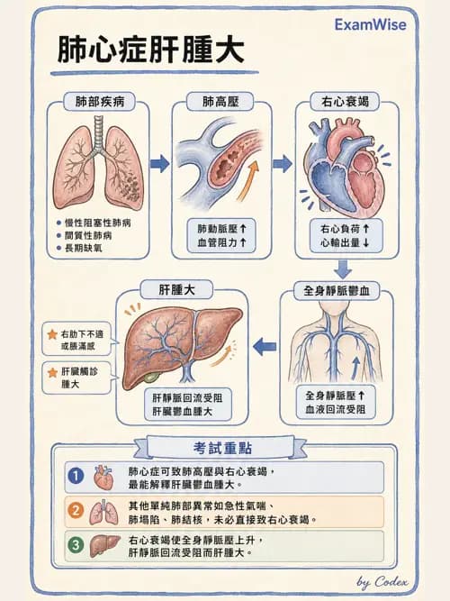 呼吸治療師 - 病人評估與衛教 - AI 圖文解析預覽