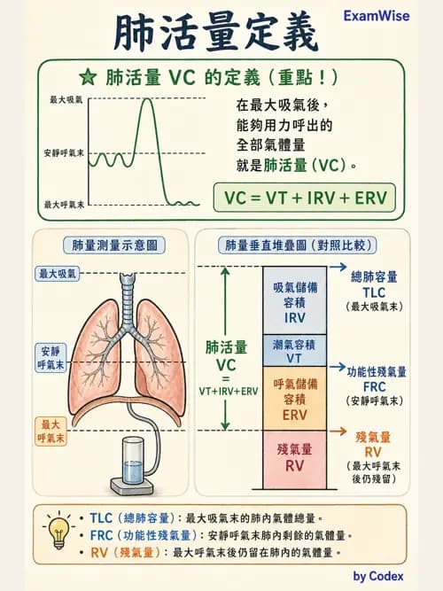 呼吸治療師 - 病人評估與衛教 - AI 圖文解析預覽