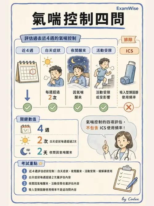 呼吸治療師 - 慢性氣道疾病 - AI 圖文解析預覽