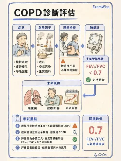 呼吸治療師 - 慢性氣道疾病 - AI 圖文解析預覽