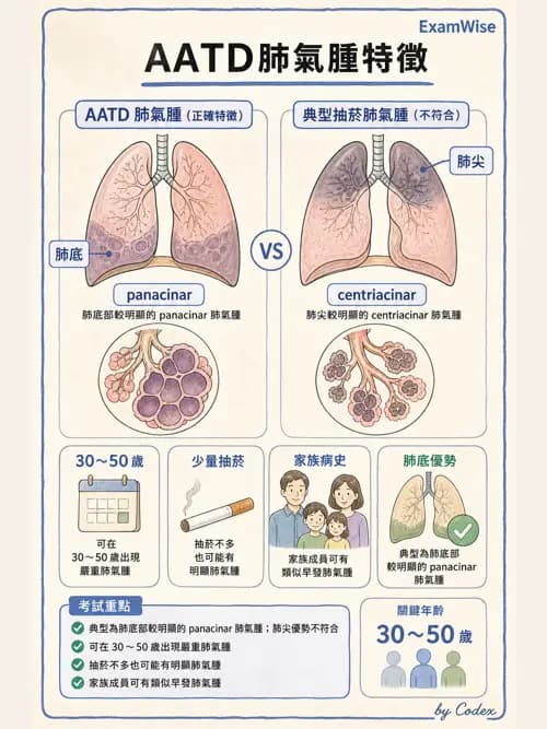 呼吸治療師 - 慢性氣道疾病 - AI 圖文解析預覽