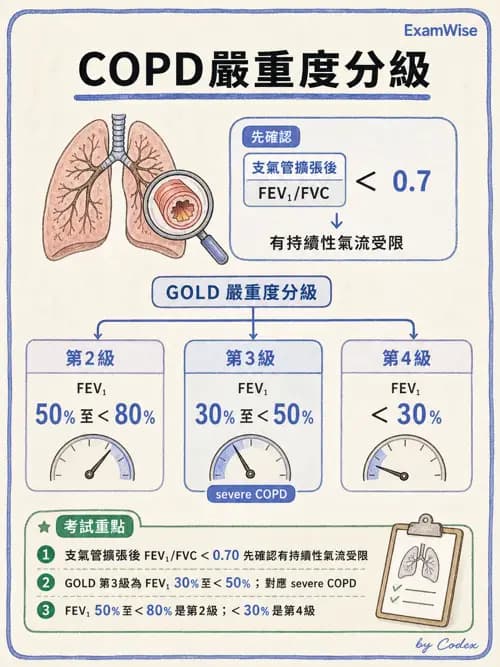 呼吸治療師 - 慢性氣道疾病 - AI 圖文解析預覽