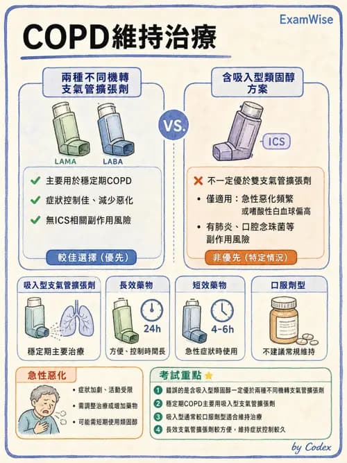 呼吸治療師 - 慢性氣道疾病 - AI 圖文解析預覽