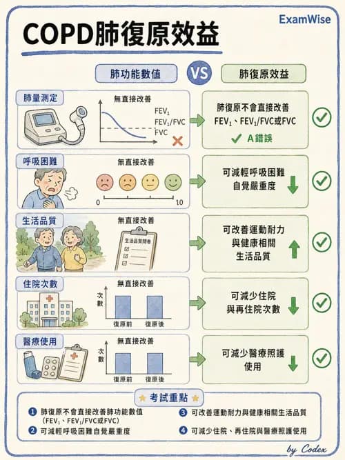 呼吸治療師 - 慢性氣道疾病 - AI 圖文解析預覽