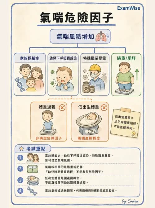 呼吸治療師 - 慢性氣道疾病 - AI 圖文解析預覽