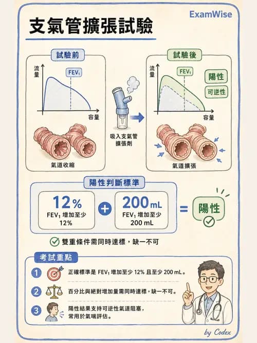 呼吸治療師 - 慢性氣道疾病 - AI 圖文解析預覽