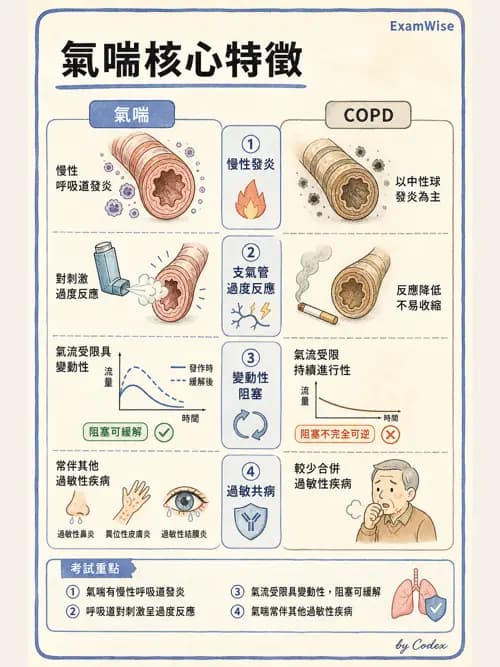 呼吸治療師 - 慢性氣道疾病 - AI 圖文解析預覽