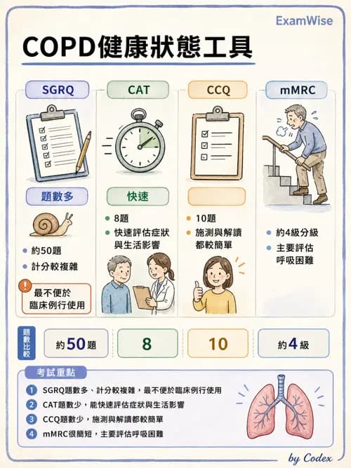 呼吸治療師 - 慢性氣道疾病 - AI 圖文解析預覽