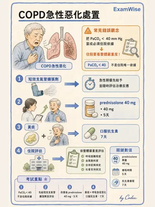 呼吸治療師 - 慢性氣道疾病 - AI 圖文解析預覽