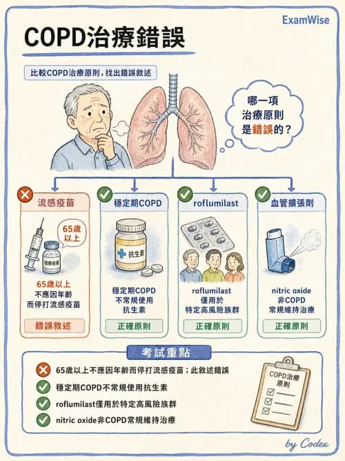 呼吸治療師 - 慢性氣道疾病 - AI 圖文解析預覽