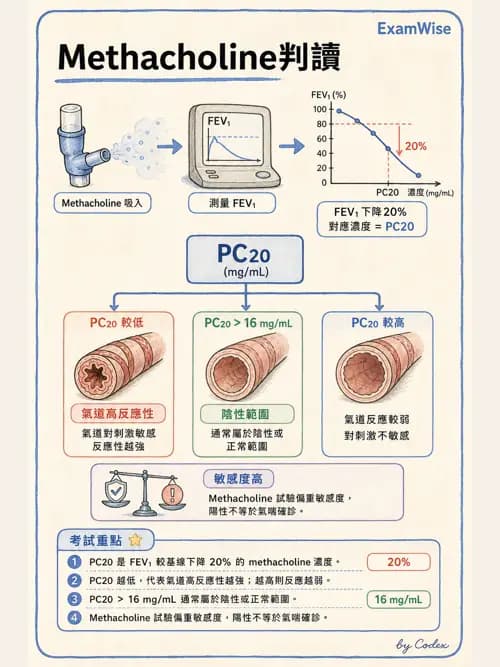 呼吸治療師 - 慢性氣道疾病 - AI 圖文解析預覽