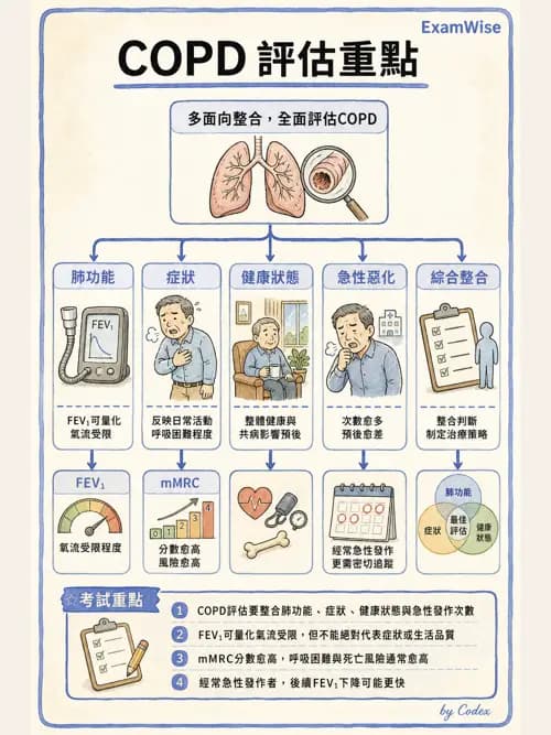 呼吸治療師 - 慢性氣道疾病 - AI 圖文解析預覽