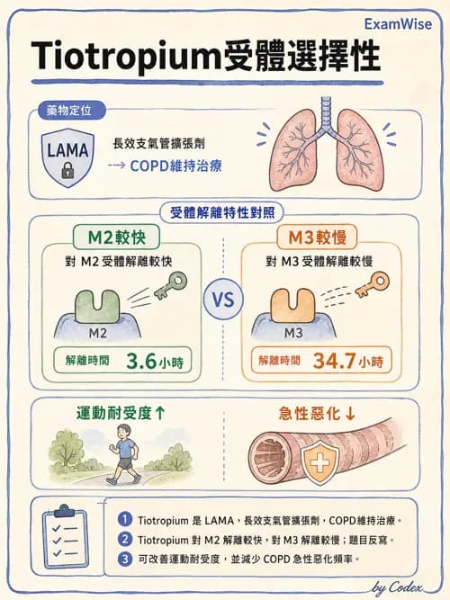 呼吸治療師 - 慢性氣道疾病 - AI 圖文解析預覽