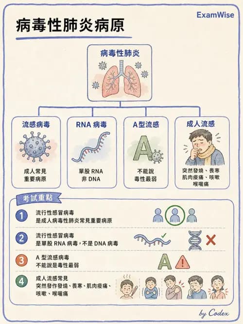 呼吸治療師 - 感染性肺疾 - AI 圖文解析預覽