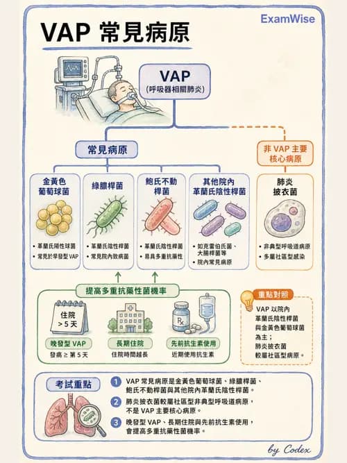 呼吸治療師 - 感染性肺疾 - AI 圖文解析預覽