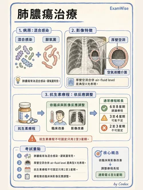 呼吸治療師 - 感染性肺疾 - AI 圖文解析預覽