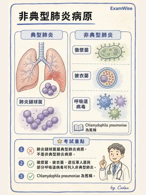 呼吸治療師 - 感染性肺疾 - AI 圖文解析預覽