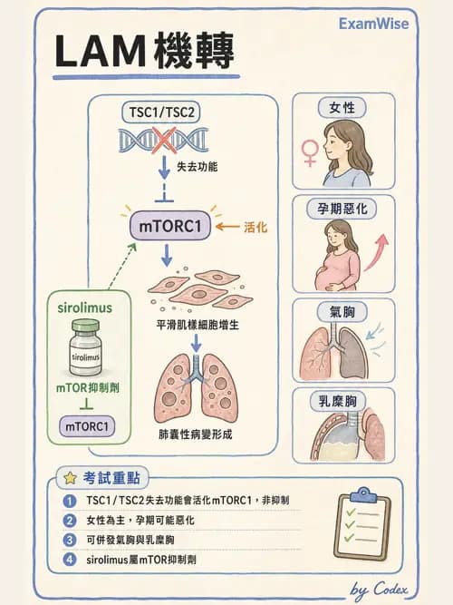 呼吸治療師 - 肺間質病變 - AI 圖文解析預覽