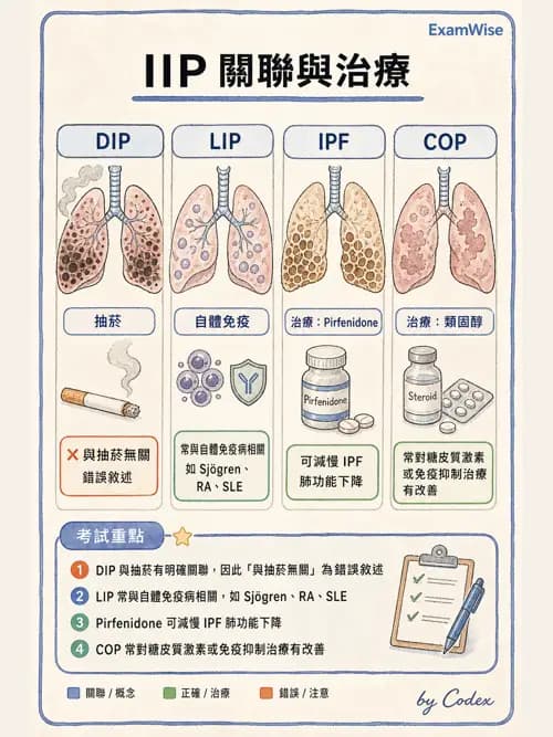 呼吸治療師 - 肺間質病變 - AI 圖文解析預覽