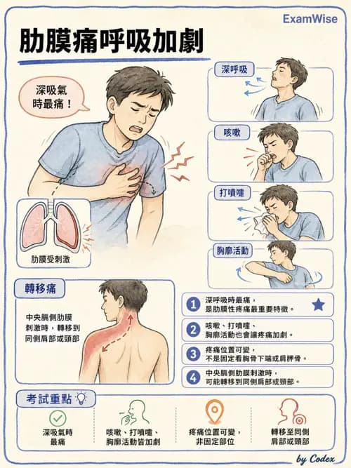 呼吸治療師 - 外力傷害與胸廓病變 - AI 圖文解析預覽