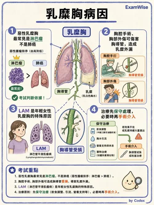 呼吸治療師 - 外力傷害與胸廓病變 - AI 圖文解析預覽