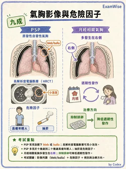 呼吸治療師 - 外力傷害與胸廓病變 - AI 圖文解析預覽