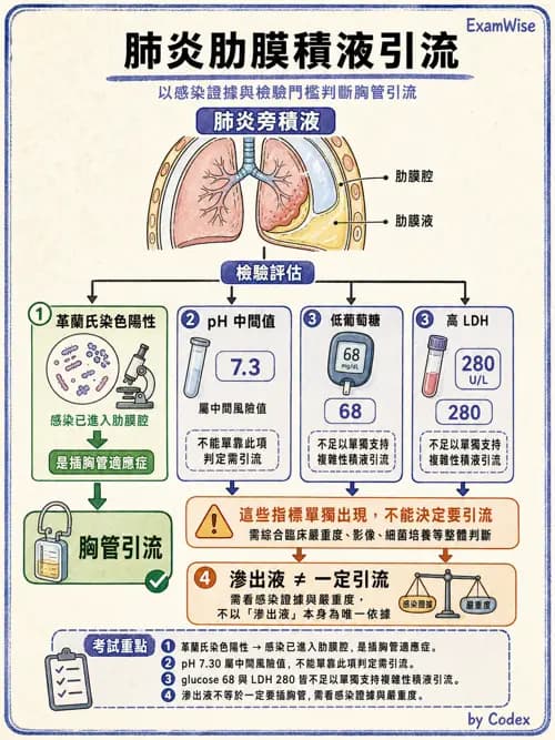 呼吸治療師 - 外力傷害與胸廓病變 - AI 圖文解析預覽
