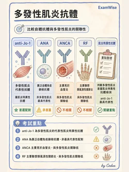 呼吸治療師 - 肺間質病變 - AI 圖文解析預覽