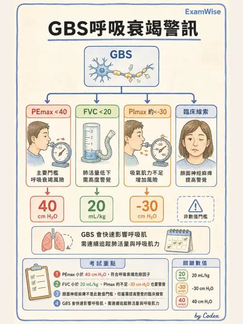 呼吸治療師 - 神經肌肉病變與腫瘤 - AI 圖文解析預覽