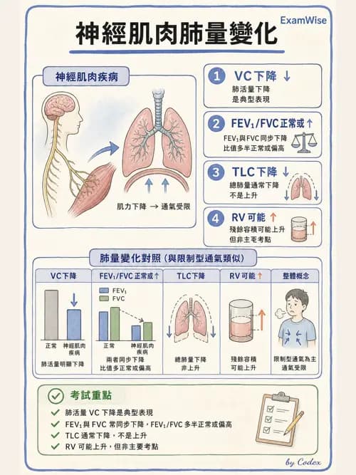 呼吸治療師 - 神經肌肉病變與腫瘤 - AI 圖文解析預覽