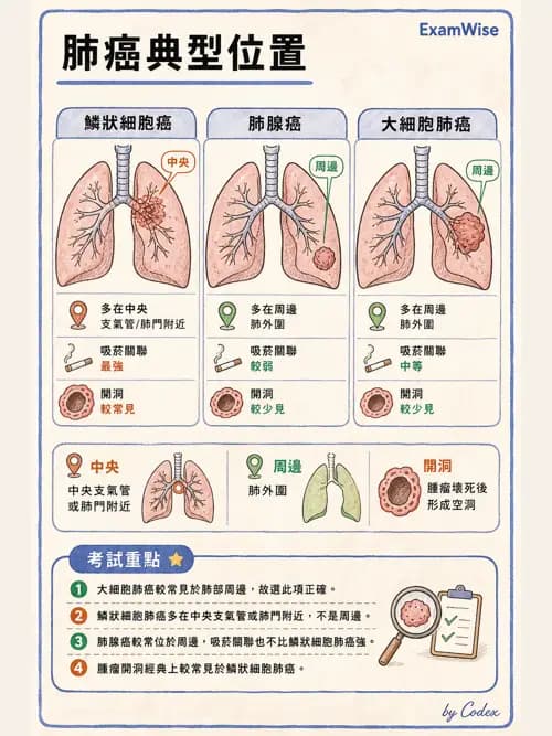 呼吸治療師 - 神經肌肉病變與腫瘤 - AI 圖文解析預覽