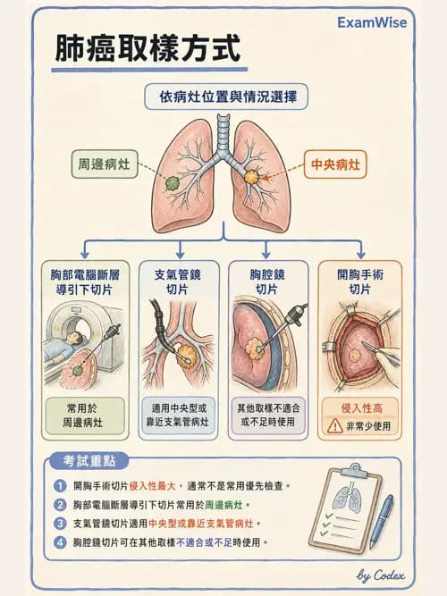 呼吸治療師 - 神經肌肉病變與腫瘤 - AI 圖文解析預覽