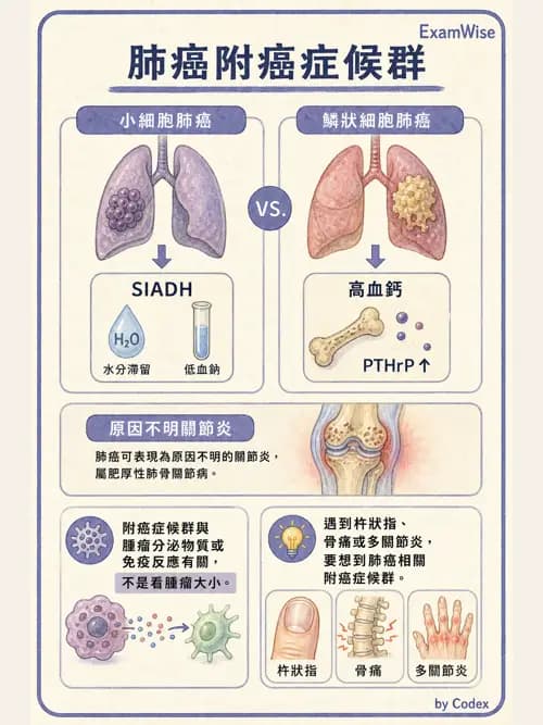 呼吸治療師 - 神經肌肉病變與腫瘤 - AI 圖文解析預覽