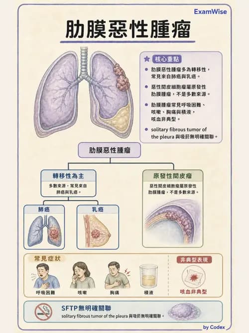 呼吸治療師 - 神經肌肉病變與腫瘤 - AI 圖文解析預覽