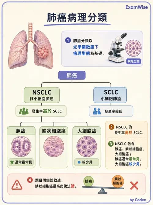 呼吸治療師 - 神經肌肉病變與腫瘤 - AI 圖文解析預覽