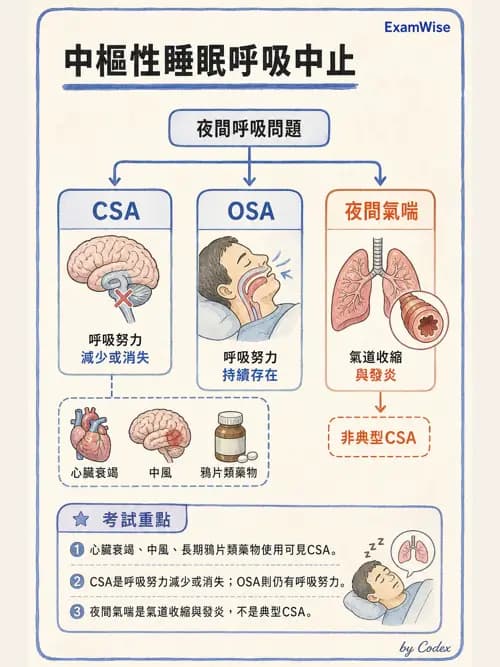 呼吸治療師 - 睡眠相關呼吸障礙 - AI 圖文解析預覽