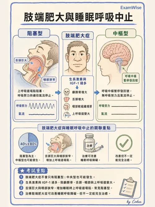 呼吸治療師 - 睡眠相關呼吸障礙 - AI 圖文解析預覽