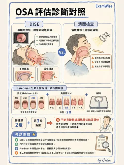 呼吸治療師 - 睡眠相關呼吸障礙 - AI 圖文解析預覽